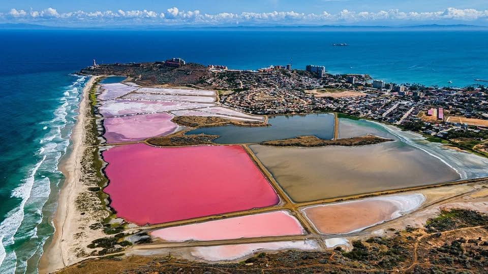 las salinas de Pampatar, sal de calidad premium